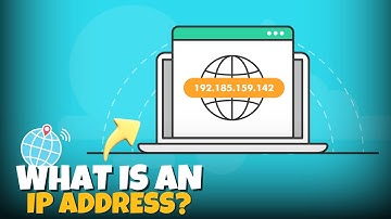 Everything You Should Know About IP Address: Types, Uses, and Differences