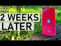 iPhone SE 2020 (2 Weeks Later)