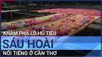 Khám phá lò hủ tiếu đa sắc Sáu Hoài nổi tiếng ở Cần Thơ | VTC Tin mới