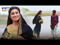 Sarah Ton Mokhay Har Pal Yaad Hondi Aahen | Pani Manjh Pasaah | Episode 08 | SindhTVHD Drama