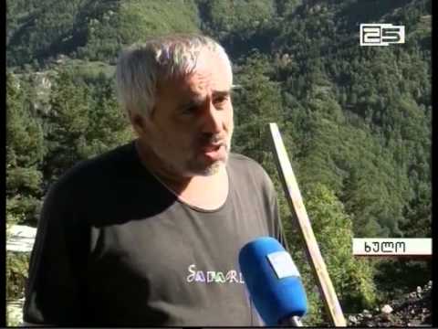 ზამთრის მოახლოებასთან ერთად მაღალმთიანეთში შეშით მომარაგების თემა აქტუალური გახდა.