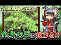 【新脱毛？】食べるだけで全身の毛が抜けるヤバい植物があるのを知っていますか…？