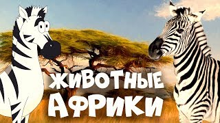 Животные Африки! Развивающие Мультики Для Детей + Видео Про Животных