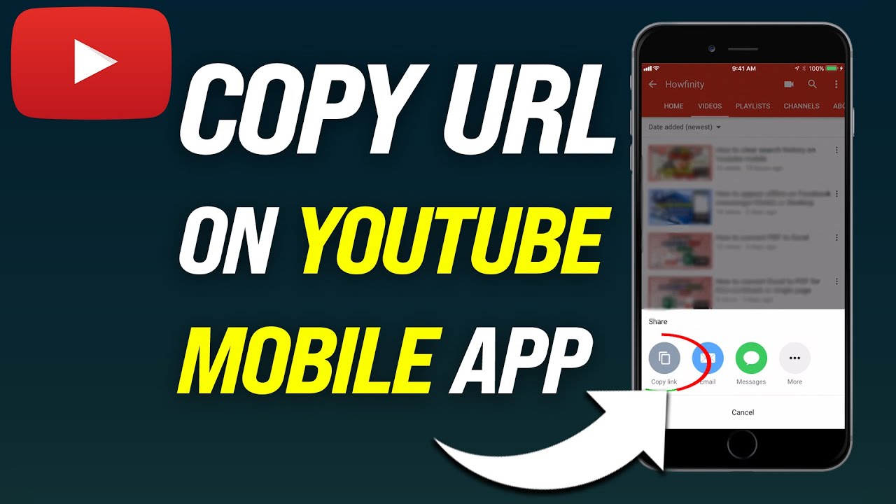 How do I Copy and paste a URL on my phone?