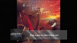 The Celtic Orchestra - The Lark in the Clear Air