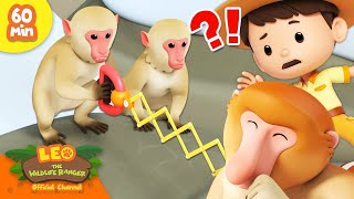 World of Primeapes!  Monkey, Gorilla, Orangutan & more! | Leo the Wildlife Ranger | Kids Cartoons