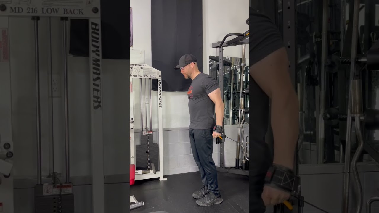 Training Equipment Review The Hammerhead Anchor Gym YouTube