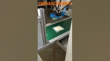 Delta Robot For Noodles Pick And Place/Arraging The Noodels On The Belt