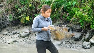 Single Mom Harvests Giant Carp in the Mud and Bring to Market to Sell