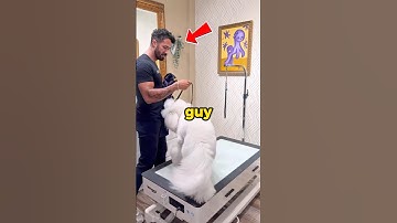 This Dog Groomer Turns Pets Into Art 😳