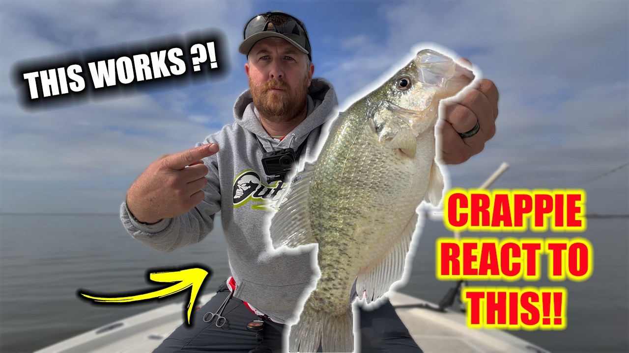 Этот случайный лайфхак для ловли окуня работает на все сто!!