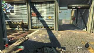 EPIC Dolphin diving Final Killcam-phaneuf fan3