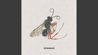Video thumbnail of "Vundabar - Listless Blue (Acoustic)"