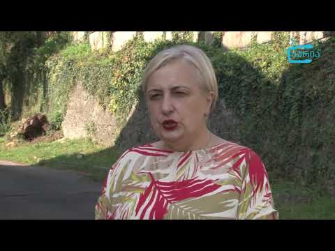 რა მდგომარეობაა ეპიდემიოლოგიური კუთხით ოზურგეთის სკოლებში