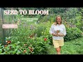 A Flower Garden Started Entirely From Seed - I
