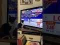 羽生君に興奮するネコ