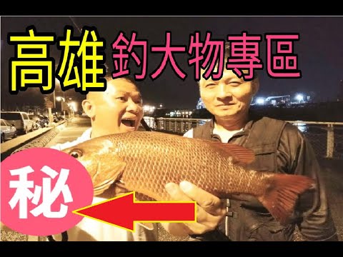 釣點!!高雄旗津大魚專區!!釣大魚要用特別的餌?????