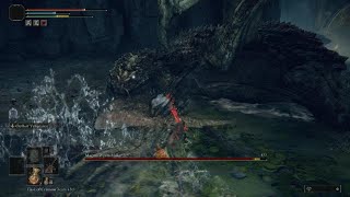 Elden Ring Magma Myrm Makar