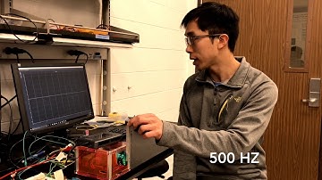 Digital Inverted Pendulum Control System