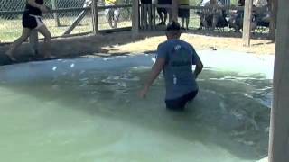 6-6-2012 Gator wrestling Team 3