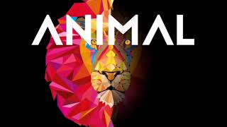 Full Teaser Animal - IDentity Guide