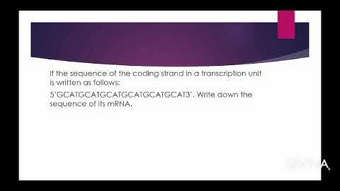 bioinformatics assignment