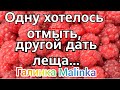 Колесниковы /Хотелось одну отмыть /Другой дать леща /Обзор Влогов /