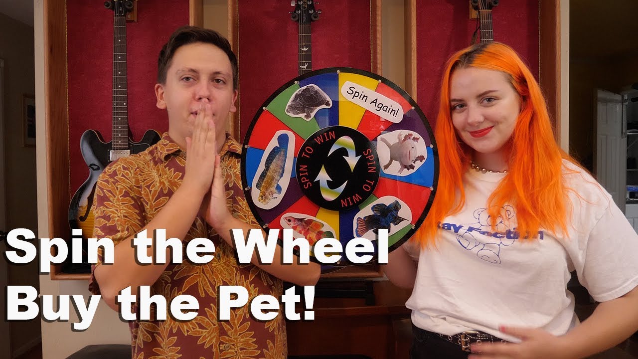 Spin the Wheel, Buy the Pet