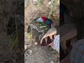 Life for help 💙❤️♥️ #shorts #youtubeshorts #viral #help #youtube #video #feedshorts #humanity