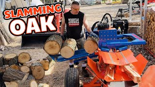 From Splitter to Stack - Dominating Oak Firewood in the Woodyard by Back 40 Firewood 30,882 views 3 weeks ago 8 minutes, 26 seconds