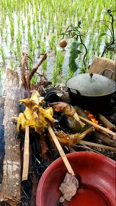 MANTAP SEKALIIIII..... NGALIWET DI SAUNG SAWAH