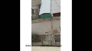 Bura Imtesdi Giris Var Giris Yoxdu