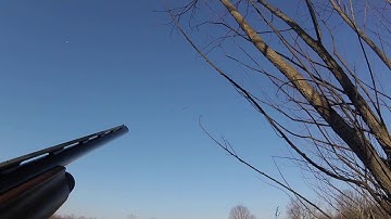 BUILDING A DUCK BLIND PART:2