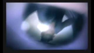 Tribute to Vergil and Nero - COLD