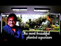 Planted aquarium  planted aquarium setup  anees khan