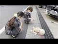Mercedesディーラーの美女二人にもふもふされて、いい顔しちゃうゴールデンレトリバーの子犬ティト。