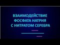 Взаимодействие фосфата натрия с нитратом серебра | ЕГЭ по химии