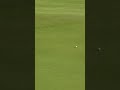 Rory McIlroy's DAD makes incredible hole-out! 🙌