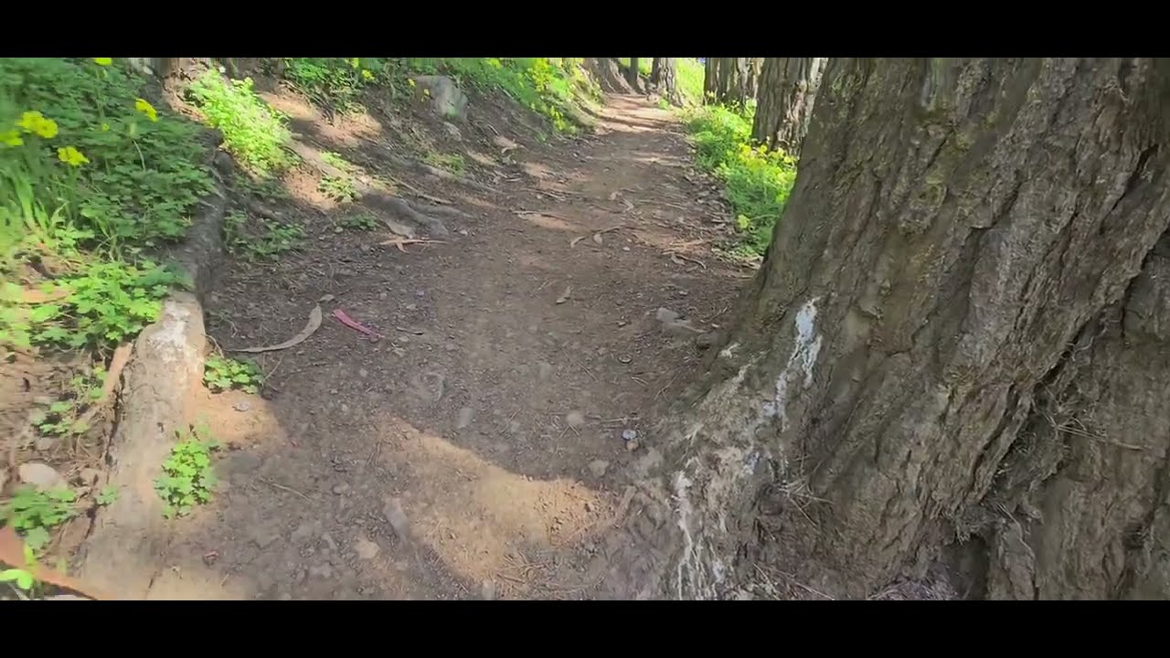 Lugares mágicos de san francisco. 