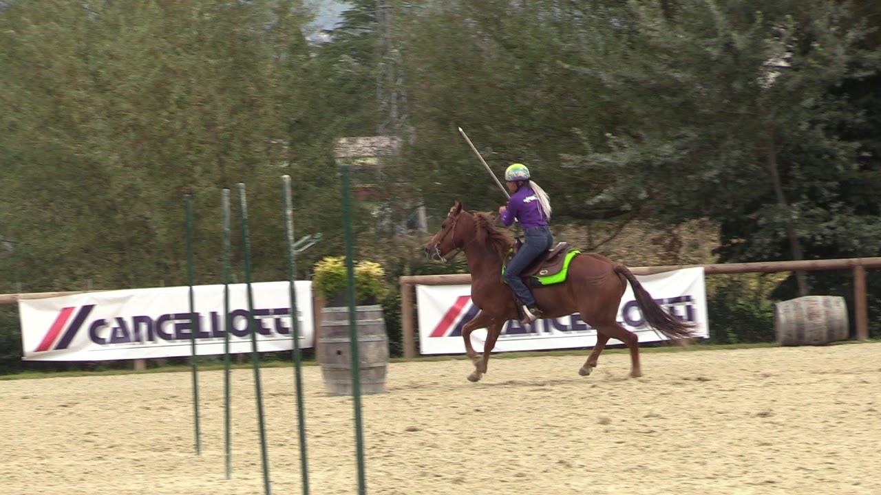 Campionati Italiani di Monta da Lavoro specialità Gimkana  2019