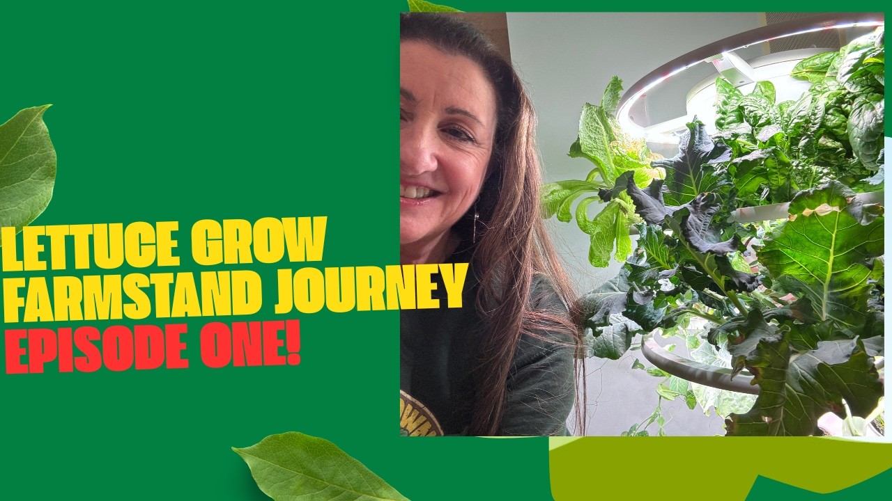 Lettuce Grow Journey, Episode 1  