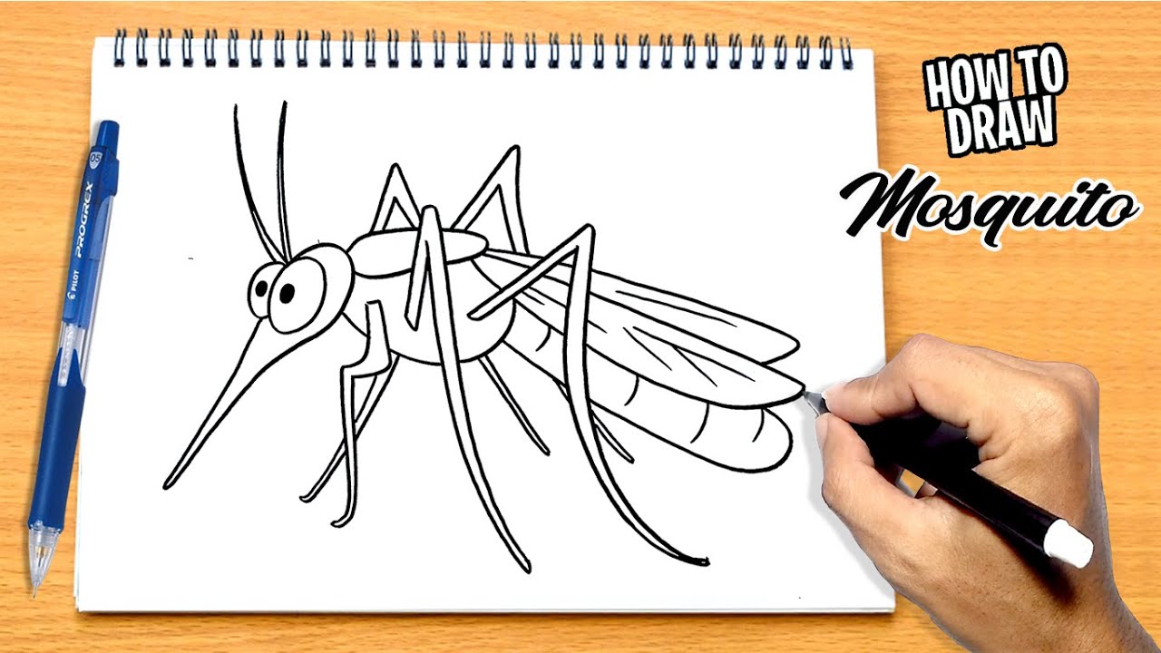 How to Doodle a Mosquito  IQ Doodle School
