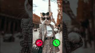New 2024 Effect Call Cute Cat Is Calling cat call ringtones ringtone