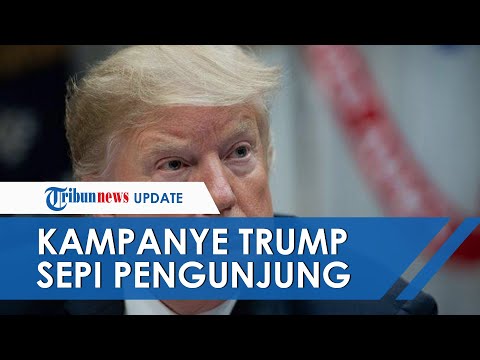 Video: Donald Trump: Penggemar Memiliki Situs Web Hingga Saat Ini