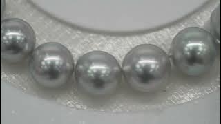 21pcs Akoya Pearl Silver Mix 7mm - SB/NR AA/AAA Quality Bracelet AKBR2422 CMA1
