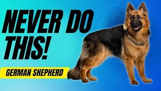 Famous 7 Things You Must NEVER Do To Your German Shepherd Wealth