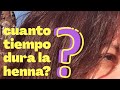 CUANTO TIEMPO DURA LA HENNA EN EL CABELLO? CADA CUANTO ME TIÑO? muestro progreso del mes