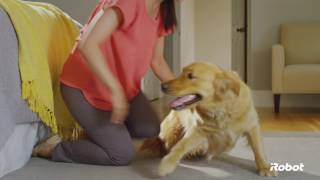 Cleans hard, so you don’t have to | Roomba® 600 series | iRobot®