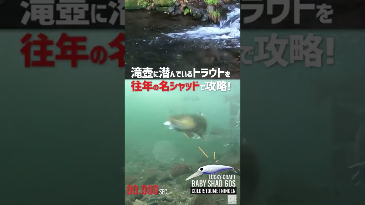 バス釣りで餌扱いされる名シャッドはトラウトにも効く！【エリアミノー