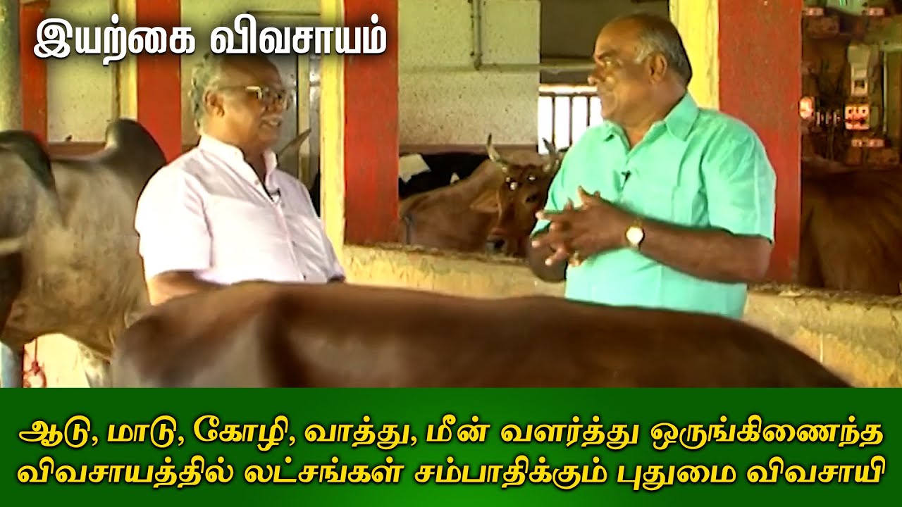 ஆடு, மாடு, கோழி, வாத்து வளர்த்து ஒருங்கிணைந்தவிவசாயத்தில் லட்சங்கள் சம்பாதிக்கும் புதுமை விவசாயி